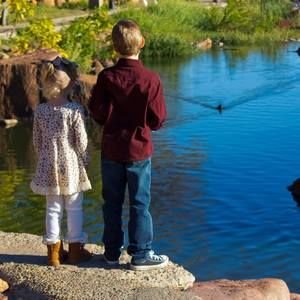 Meet your Posher, Renee